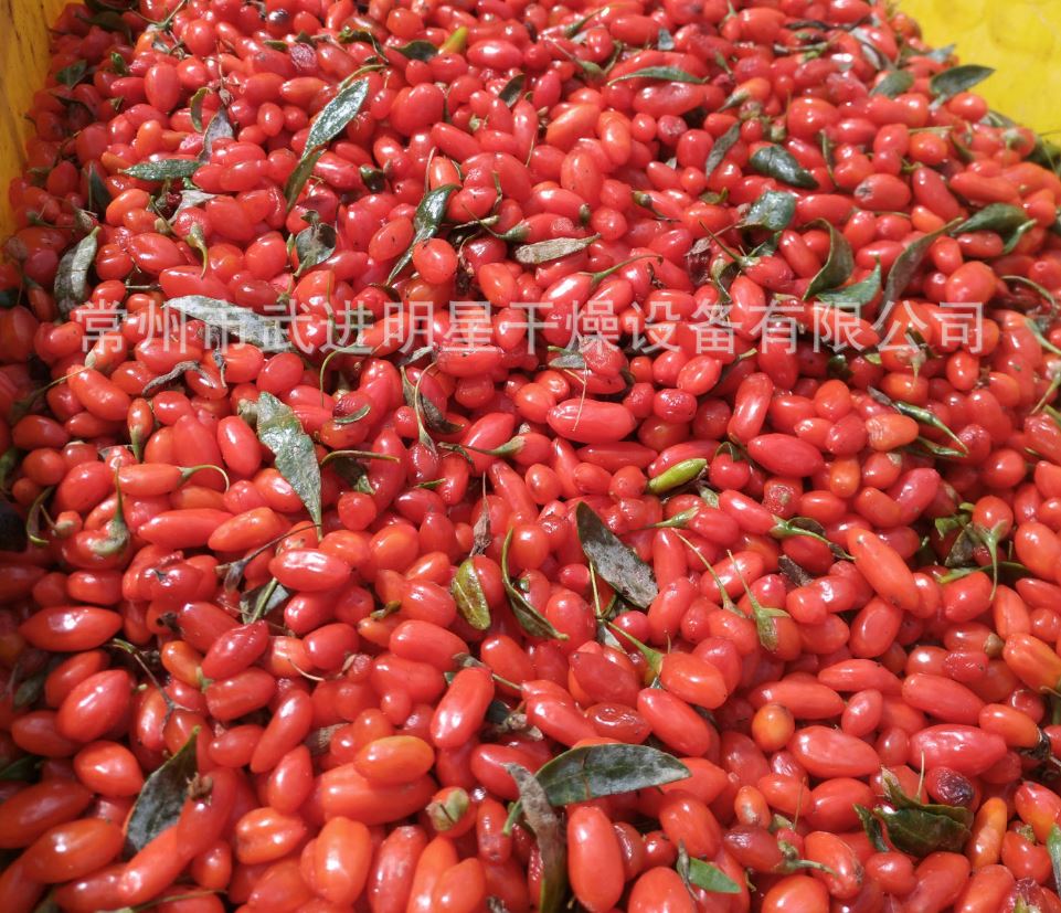 大型枸杞連續(xù)烘干設備